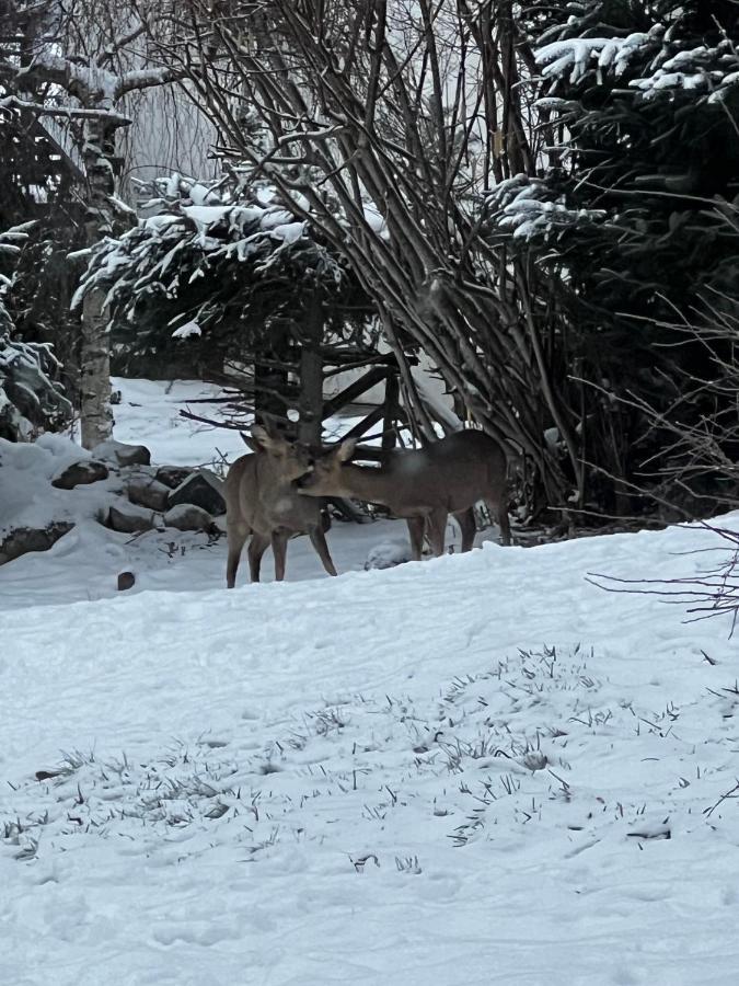 Le Chalet De Juliette Gerardmer Luaran gambar
